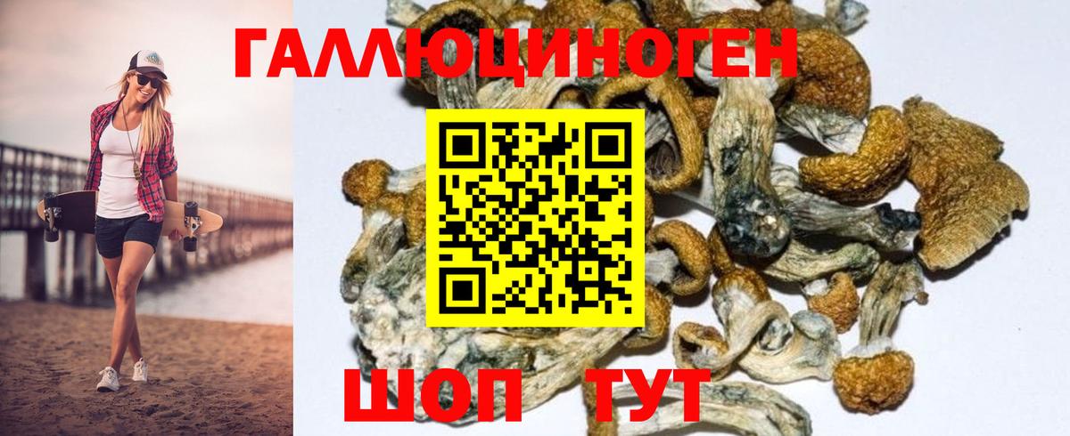 Псилоцибиновые грибы Magic Shrooms  Вход с VPN  Изобильный  Псилоцибиновые грибы GOLDEN TEACHER 