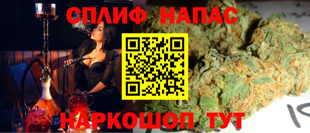 Шишки марихуана планчик Изобильный